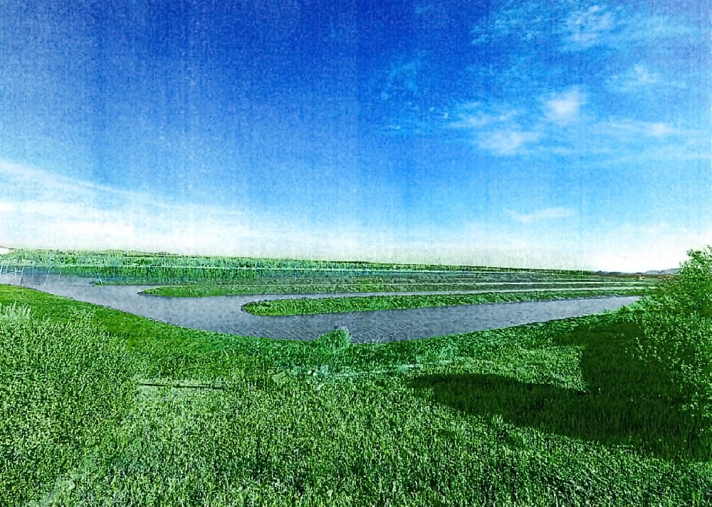 764畝蝦池五年租賃權(quán)拍賣